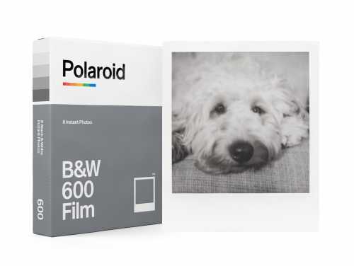 Polaroid  600 BW.jpg