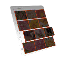 CL 1 szt..png