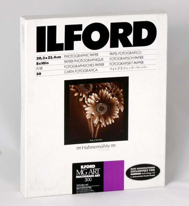 ILFORD MG ART 300 20X25/50