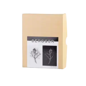 BERGGER Print Film 4x5"/25 szt. negatyw arkuszowy